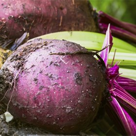 Vacuum Packed Beetroot: Far Peak Farm